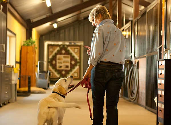 Dog Boarding & Training Expert, Camilla Gray-Nelson with dog