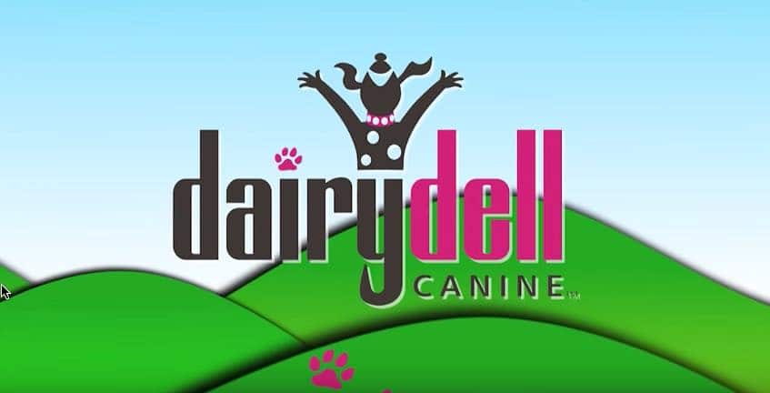 Dairydell Canine Training and Boarding | Home Page 11