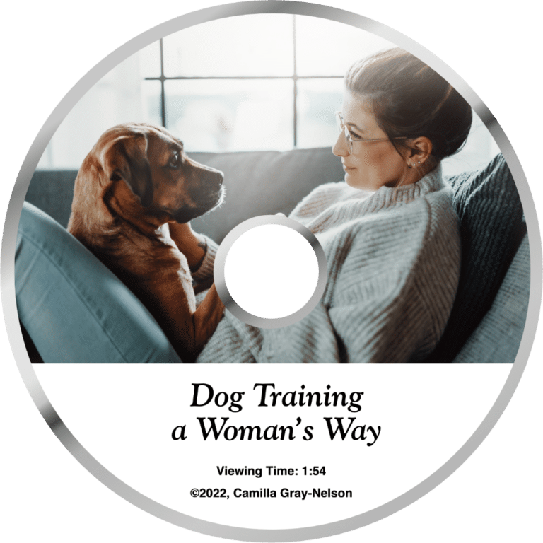 Dog Board and Train Classes Dairydell Canine