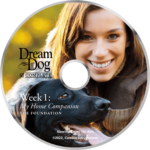 Board & Train - Dream Dog Complete Week 1 1