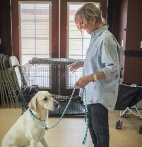 Camilla Gray-Nelson, owner of Dairydell Canine in Petaluma, works with Duke, 2, to train him in behavioral skills that his family wants him to have before they welcome their first newborn baby.