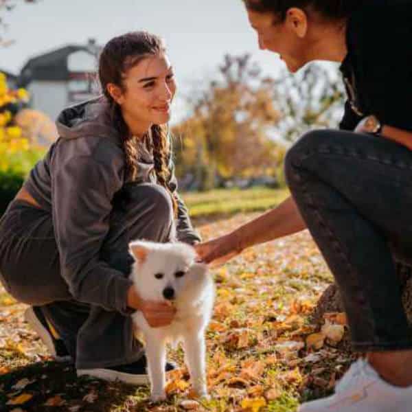 dairydell staff trainer with dog and client